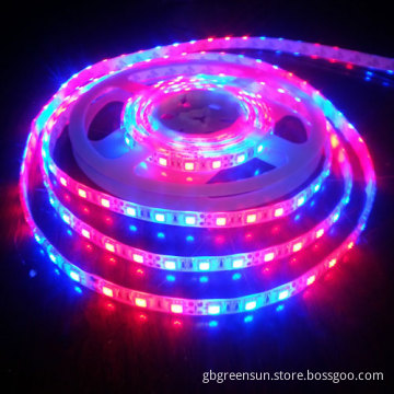 12V Waterproof LED Grow Light Strips for Plant Growth